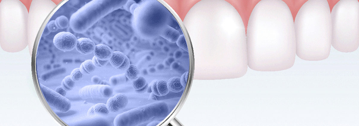 Centro Odontológico Alaia - Clínica Dental en Hernani - Dentistas en Hernani - microflora oral